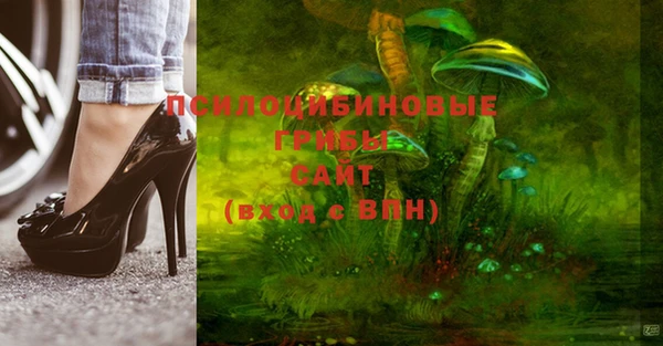 кокаин перу Дмитриев