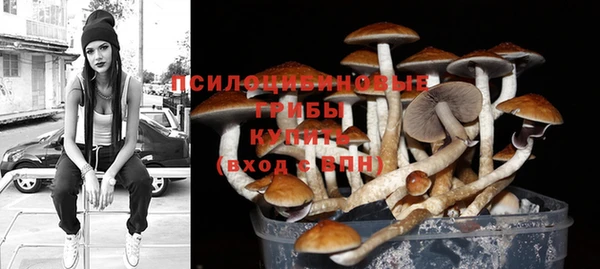 гидропоника Дмитров