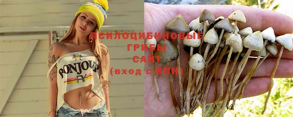 кокаин перу Дмитриев