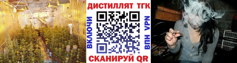 Купить  Торжок  Дистиллят ТГК Wax 